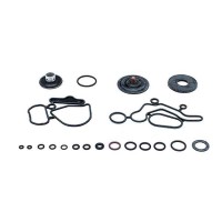Ремкомплект помпы AdBlue GRUNDFOS 4931694 (WT/AD.4 / WTAD4)